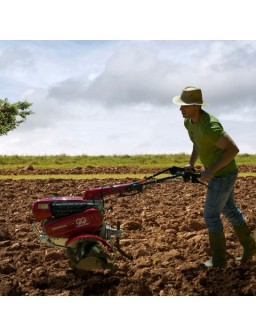  Mula mecanica. Agricultura y ganadería