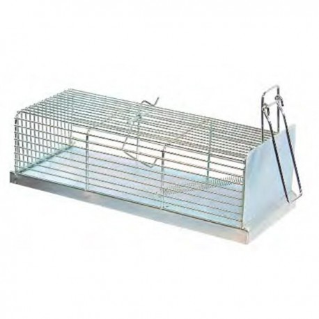Trampa cincada para ratas Trampa cincada para ratas